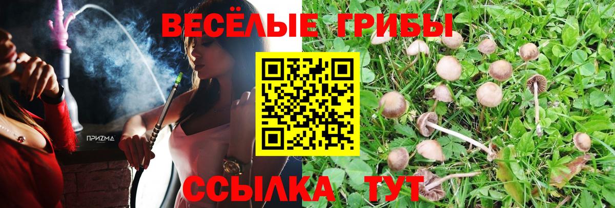 Псилоцибиновые грибы прущие грибы  Вход с VPN  Гусь-Хрустальный  Галлюциногенные грибы мицелий 